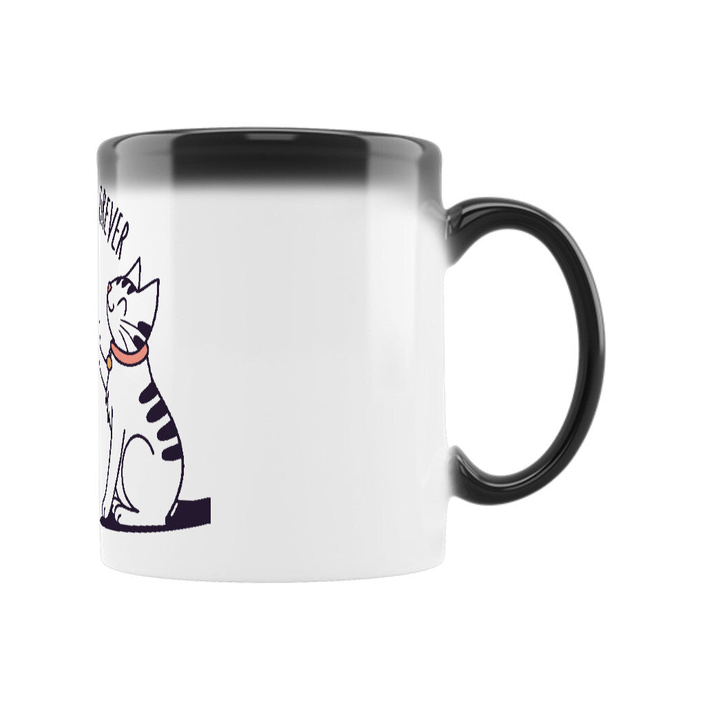 Image for color: schwarz